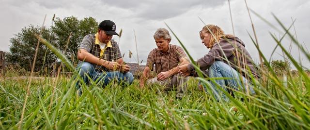 Agriculture Science